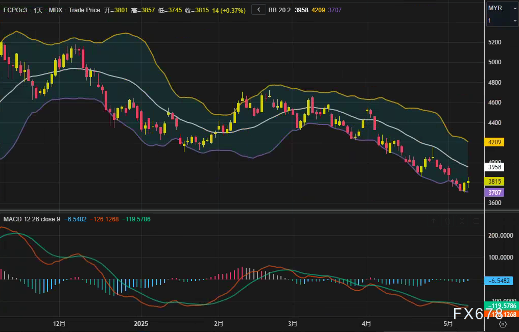 【XM官网】MPOB数据倒计时!棕榈油技术面发出“黄牌警告”?(图2)